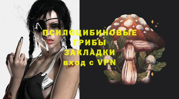 экстази Осташков