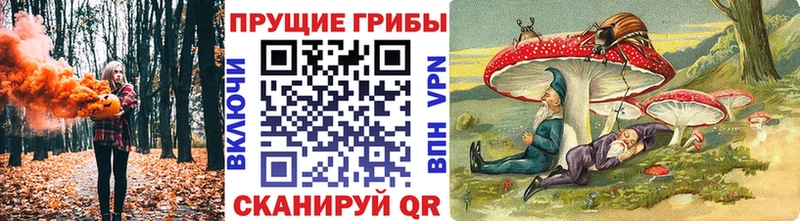 Псилоцибиновые грибы GOLDEN TEACHER  Плёс 